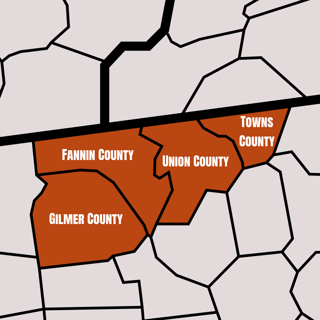 Service area map highlighting Fannin, Gilmer, Union, and Towns Counties.